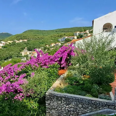 Istrien-adria アパート *